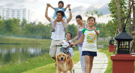 Nutrition, Health & Wellness
