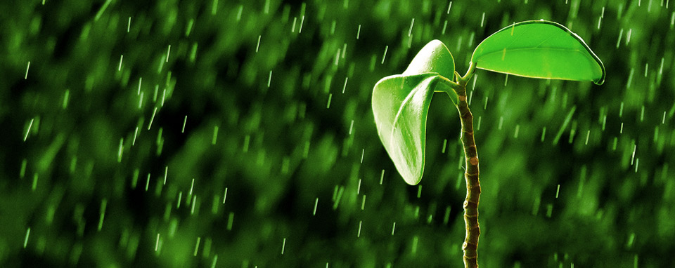Vietnam farmers save water use rubbish