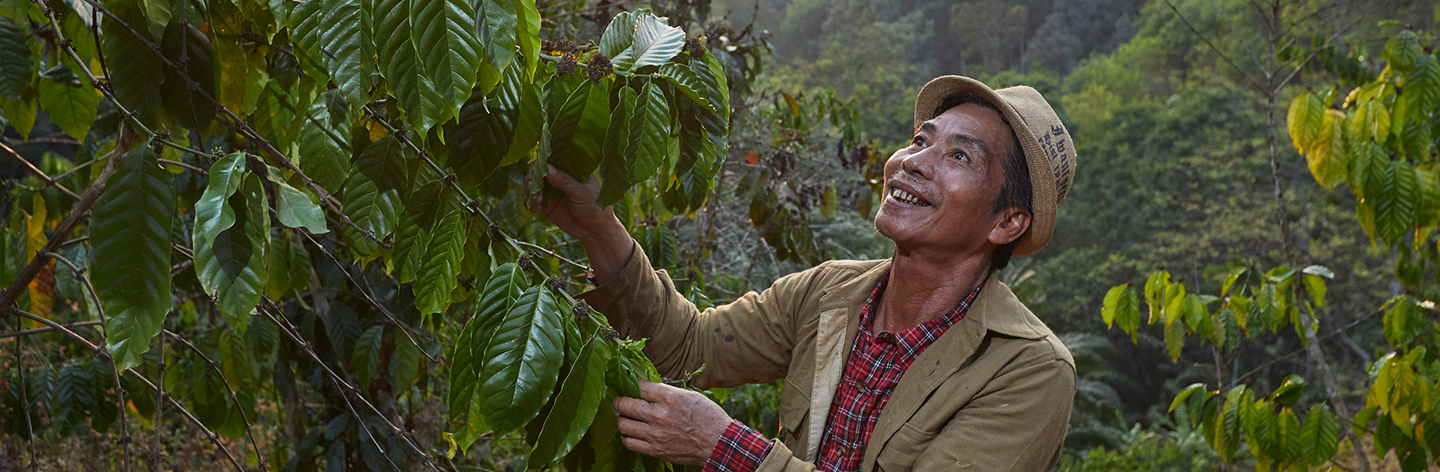 NESCAFÉ respects Thai coffee farmers, empowering sustainable coffee farming in global level.