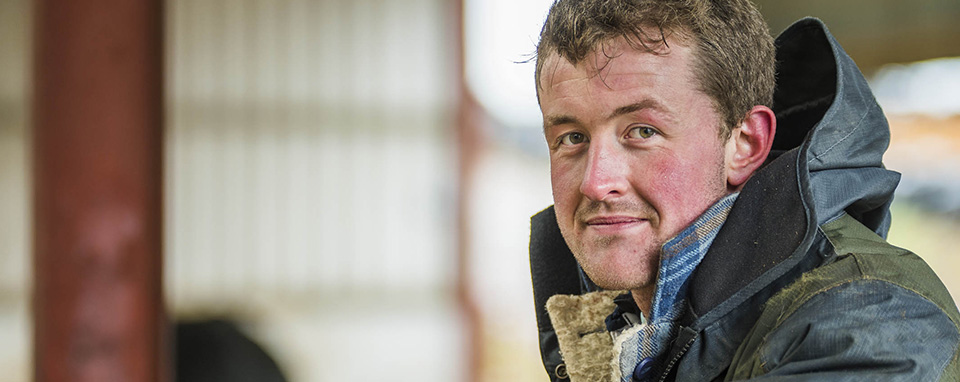 dairy-industry-farmers-agripreneurs-uk