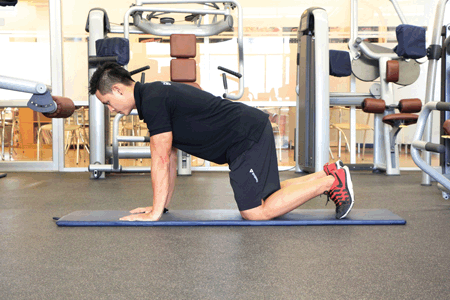 ท่าแพลงค์ (Plank)