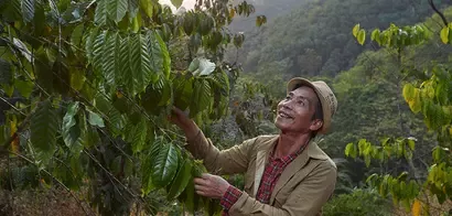 Respects Thai Coffee Farmers empowering sustainable coffee farming in global level