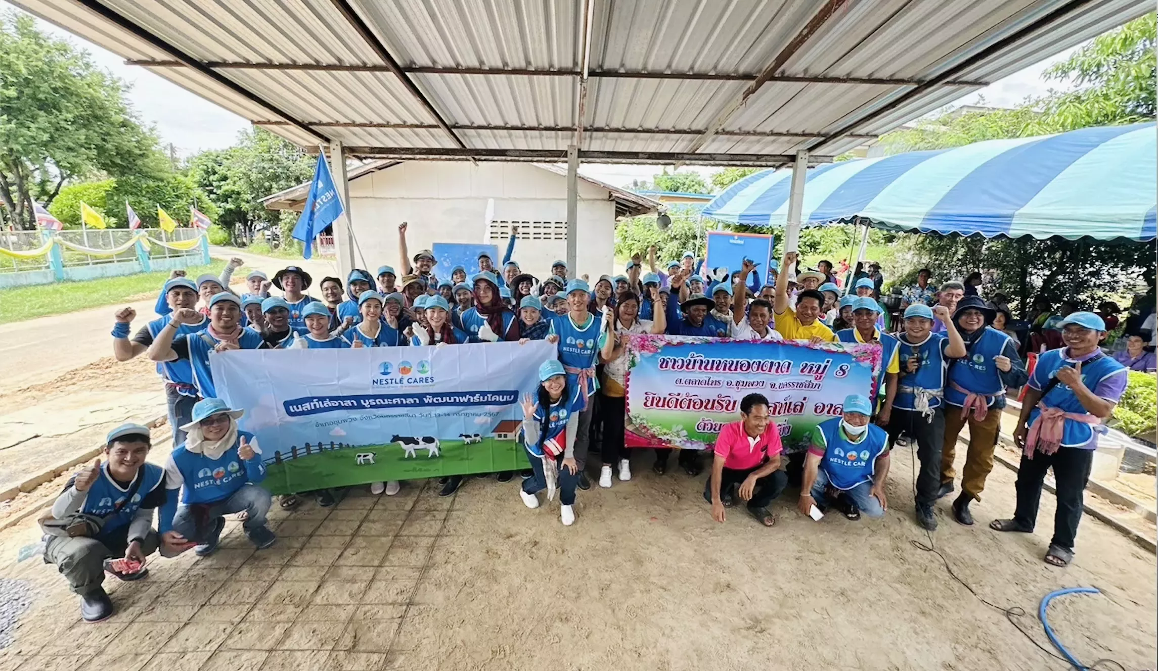 Nestle Care 