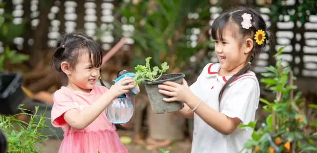 ปลูกผักกินเอง