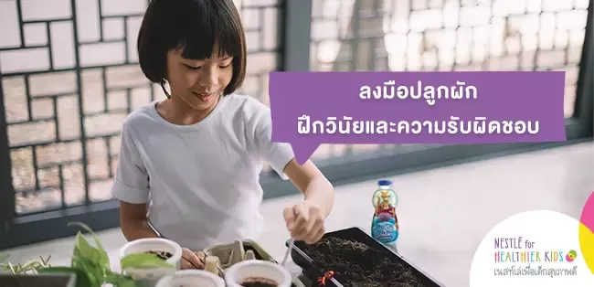 ลงมือปลูกผัก