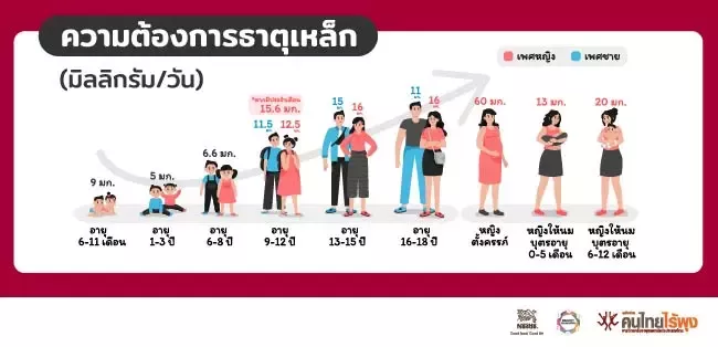 ความต้องการธาตุเหล็ก