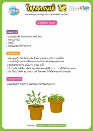 ใบกิจกรรมที่ 12 : ชวนเด็กๆ มาปลูกผักกันเถอะ