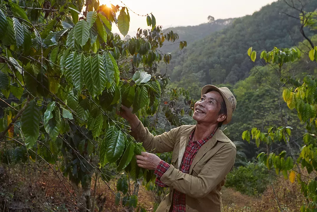 Respects Thai Coffee Farmers empowering sustainable coffee farming in global level