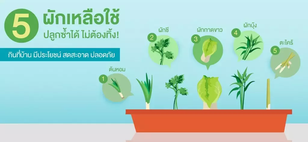 ใบกิจกรรม : หนังสือทำมือผักผลไม้ 5 สี