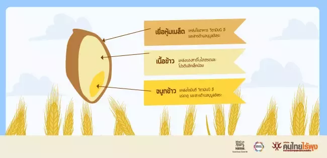 ธัญพืช