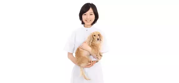 How to do the health-check for your dogs?