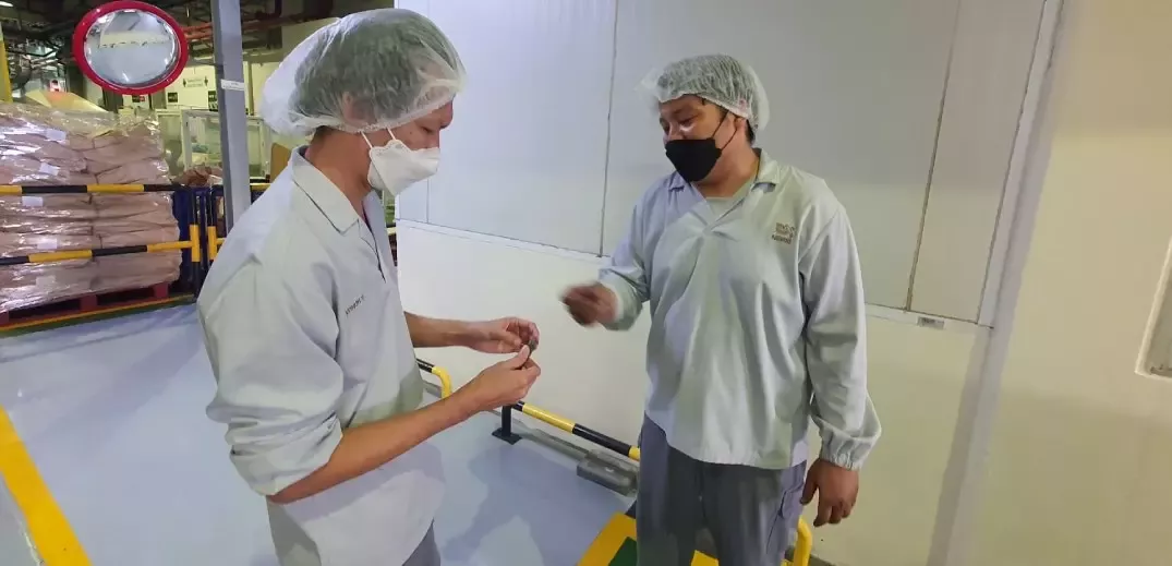 factory colleagues