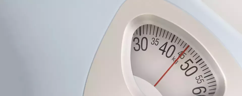 research ampk weight loss science